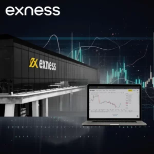 Exness Office Location