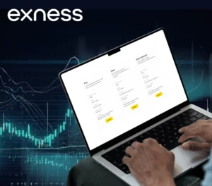 Exness account types