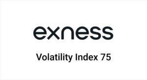 क्या Exness ट्रेडिंग के लिए Volatility 75 इंडेक्स प्रदान करता है?